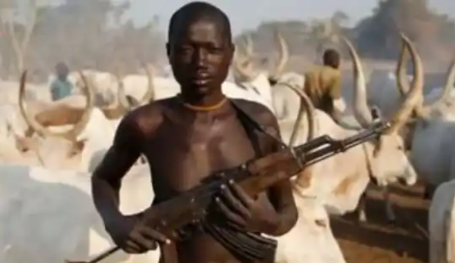 Plateau: ‘My people killed 46 Christians despite my pleas’ – Fulani leader