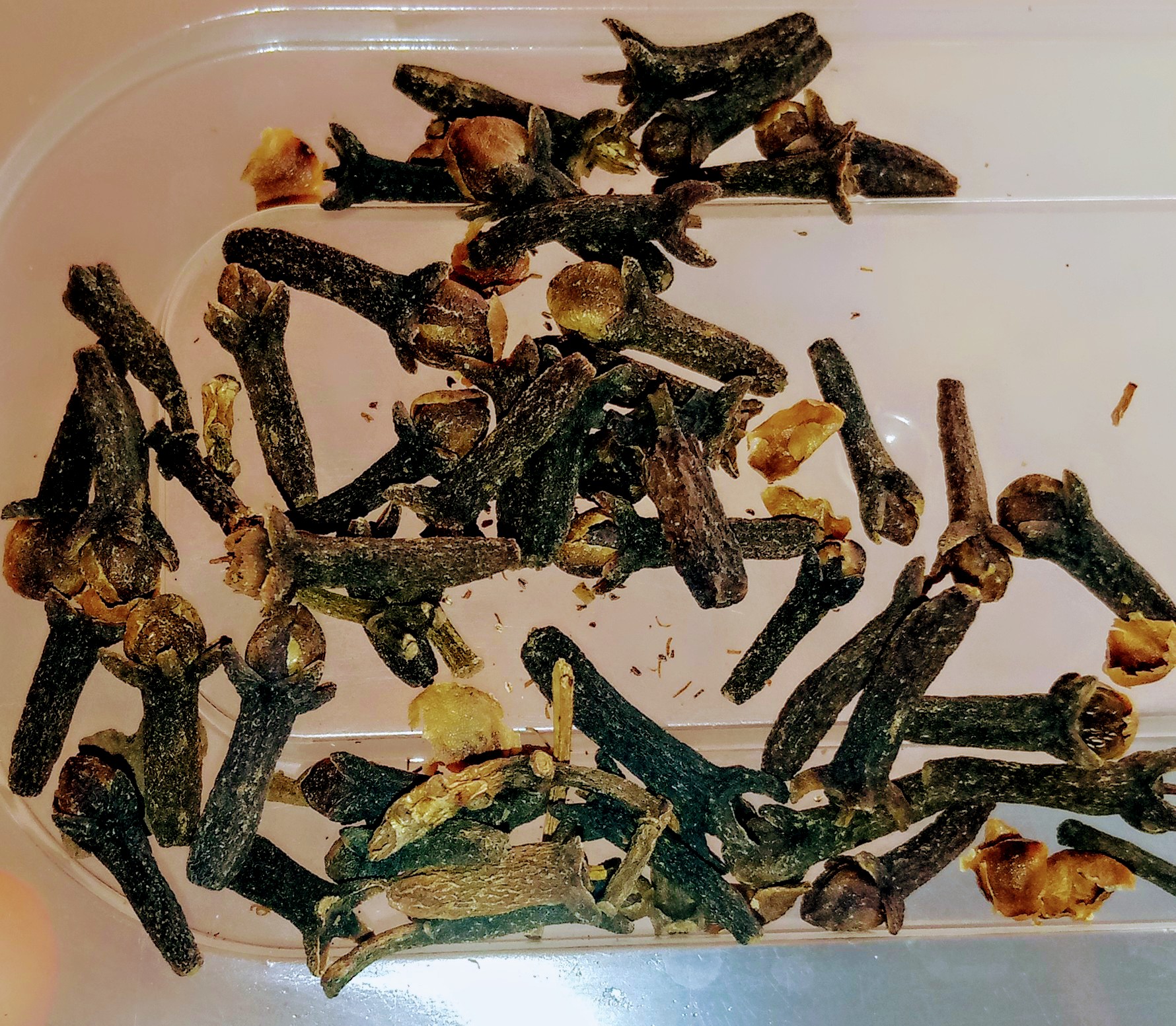 Cloves and its nutritional benefits to women’s health