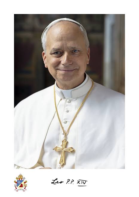 Passing by the Giant: A Papal Snub or a National Mirror?